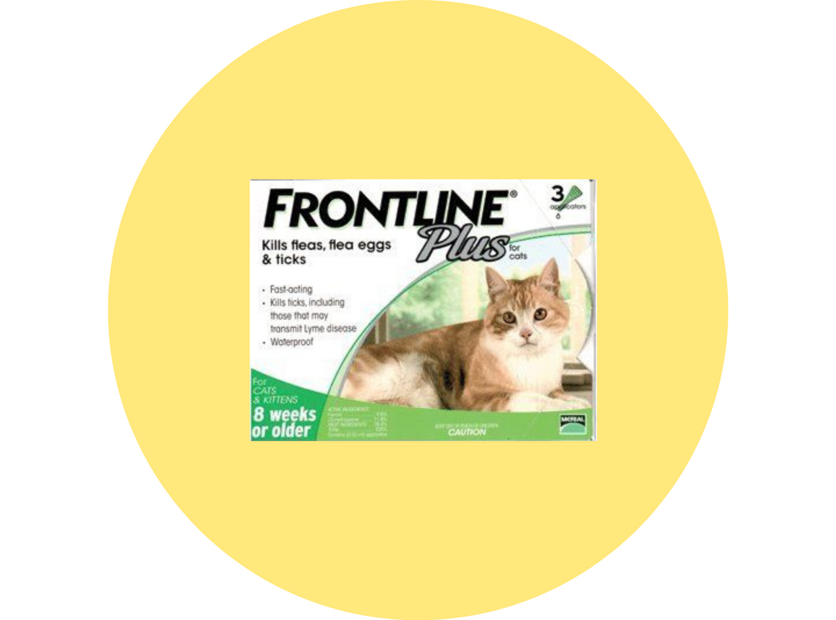 Cat Flea & Tick Cat Health Pet Care Pet Shop Hong KongPet Store