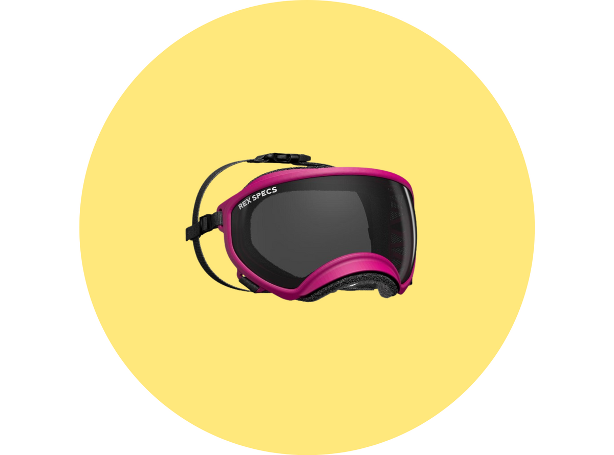 Dog Goggles Dog Accessories Dog Supplies Pet Shop Hong Kong