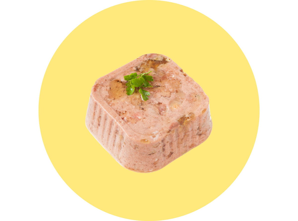 Cat Food, Treats & Snacks Delivery Hong Kong Pet Shop PetShack