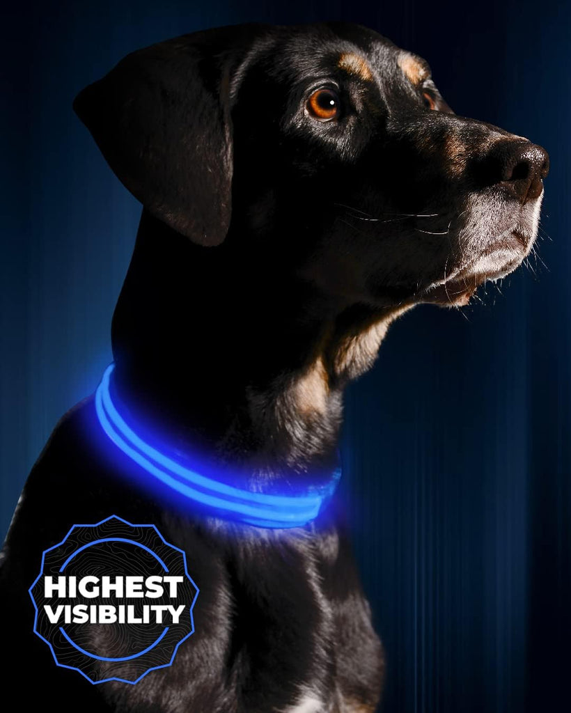 illumiseen-led-light-up-dog-collar-royal-blue-large