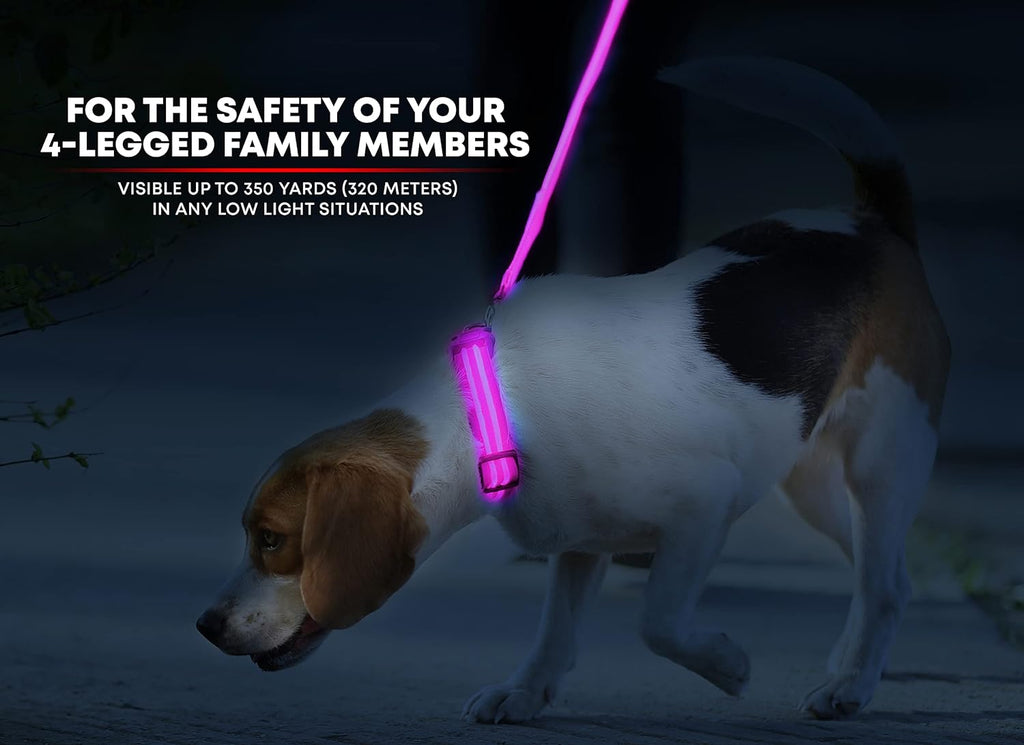 illumiseen-led-light-up-dog-collar-cotton-candy-pink-small
