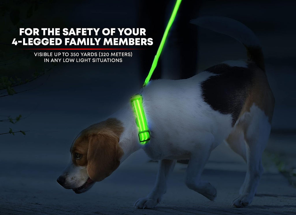 illumiseen-led-light-up-dog-collar-neon-green-x-small