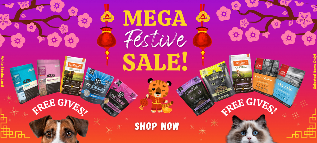 Mega-Festive-offer