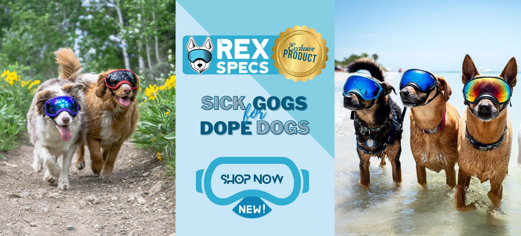 Rex-Specs-Dog-Goggles