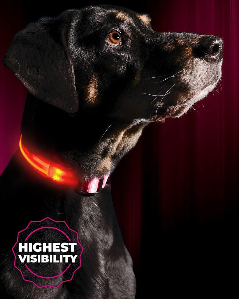 illumiseen-led-light-up-dog-collar-cotton-candy-pink-x-small