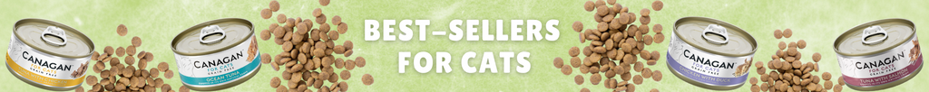 Best-seller-for-Cats