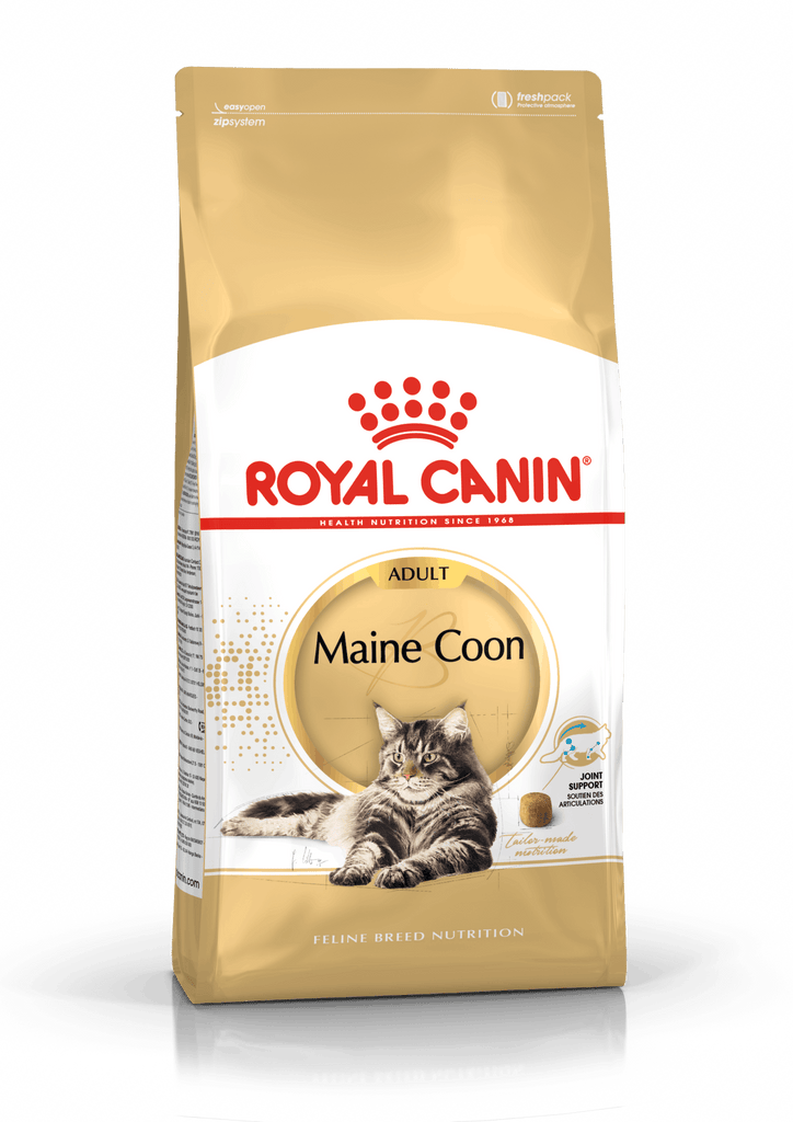 royal-canin-cat-food-maine-coon-adult-cat