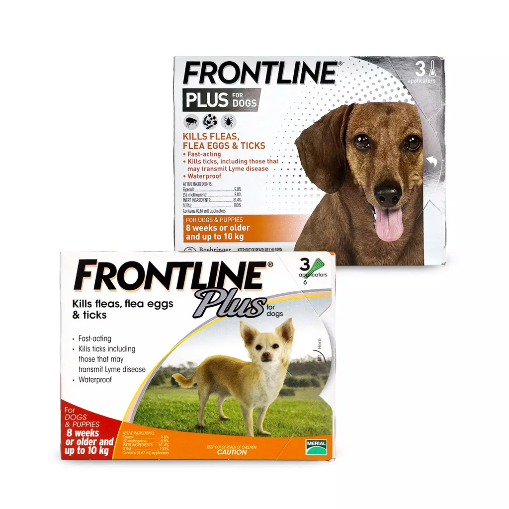 frontline-plus-for-small-dogs-puppies-over-8-weeks-upto-10kg-3-applications-Flea-tick-Small-dogs-puppies
