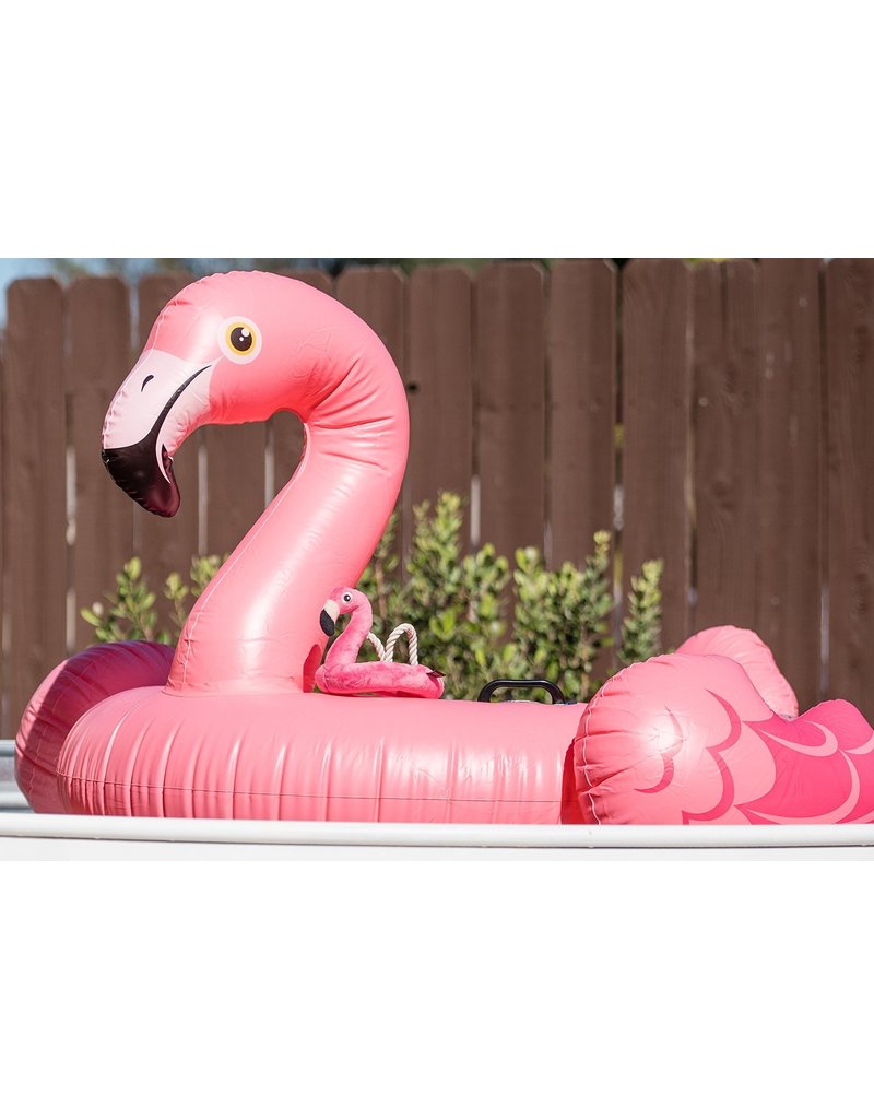 tropicalparadise-flamingofloat-Dog-Toys