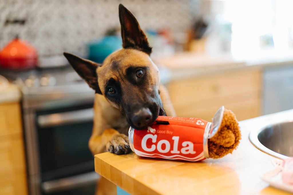 good-boy-cola-Dog-Toy