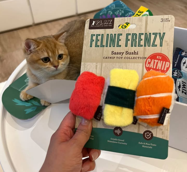 Meow & Play: Discover the best toys to keep your cat active, engaged and purring with joy!