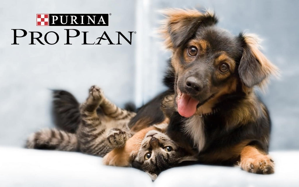 Purina Pro Plan Dog and Cat Food