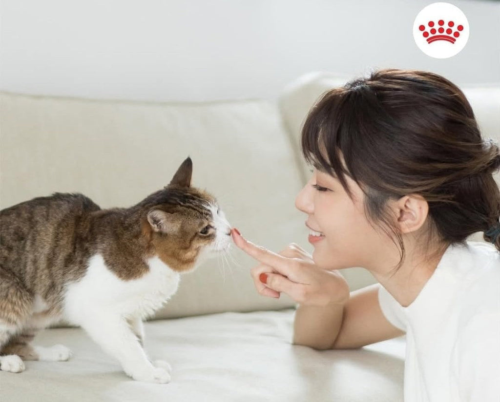Royal-Canin-Cat-Pet-Parent