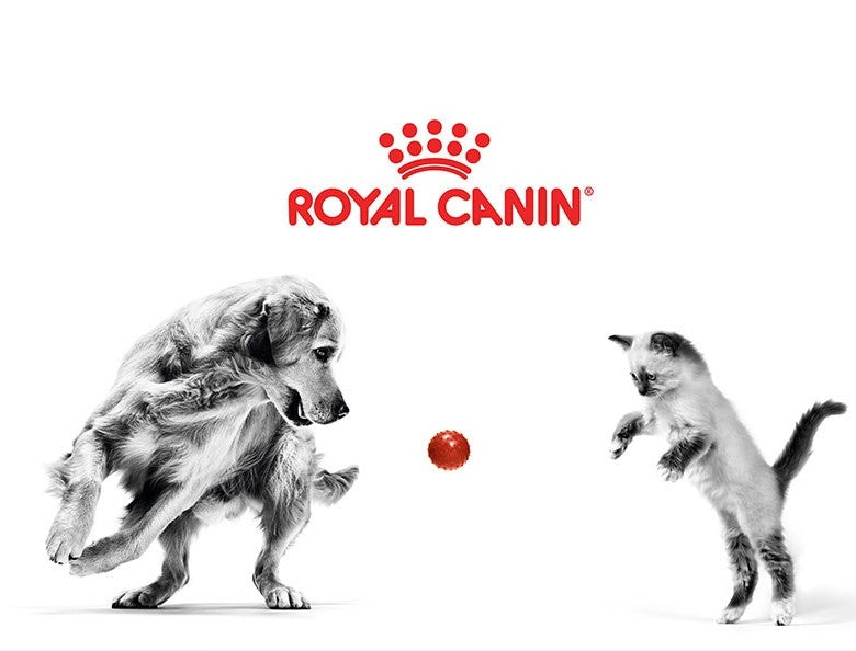 Royal-Canin-Tailored-Dog-And-Cat-Food-Nutrition