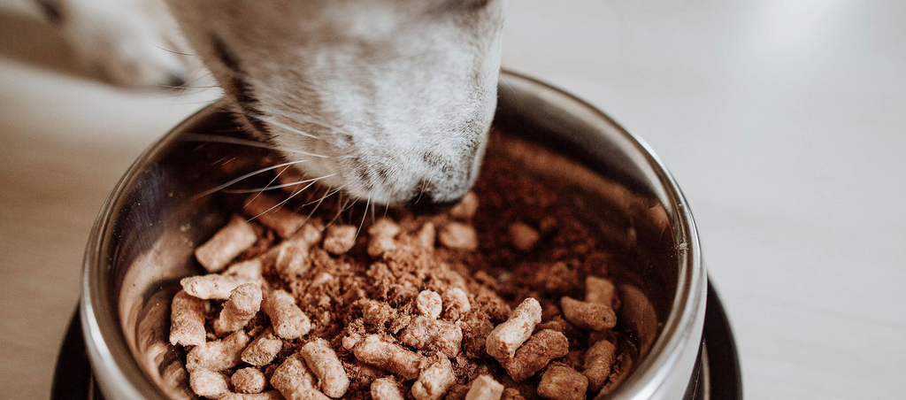 The Benefits of Freeze-Dried Dog Food: Unlocking the Perfect Nutritional Solution for Your Furry Friend