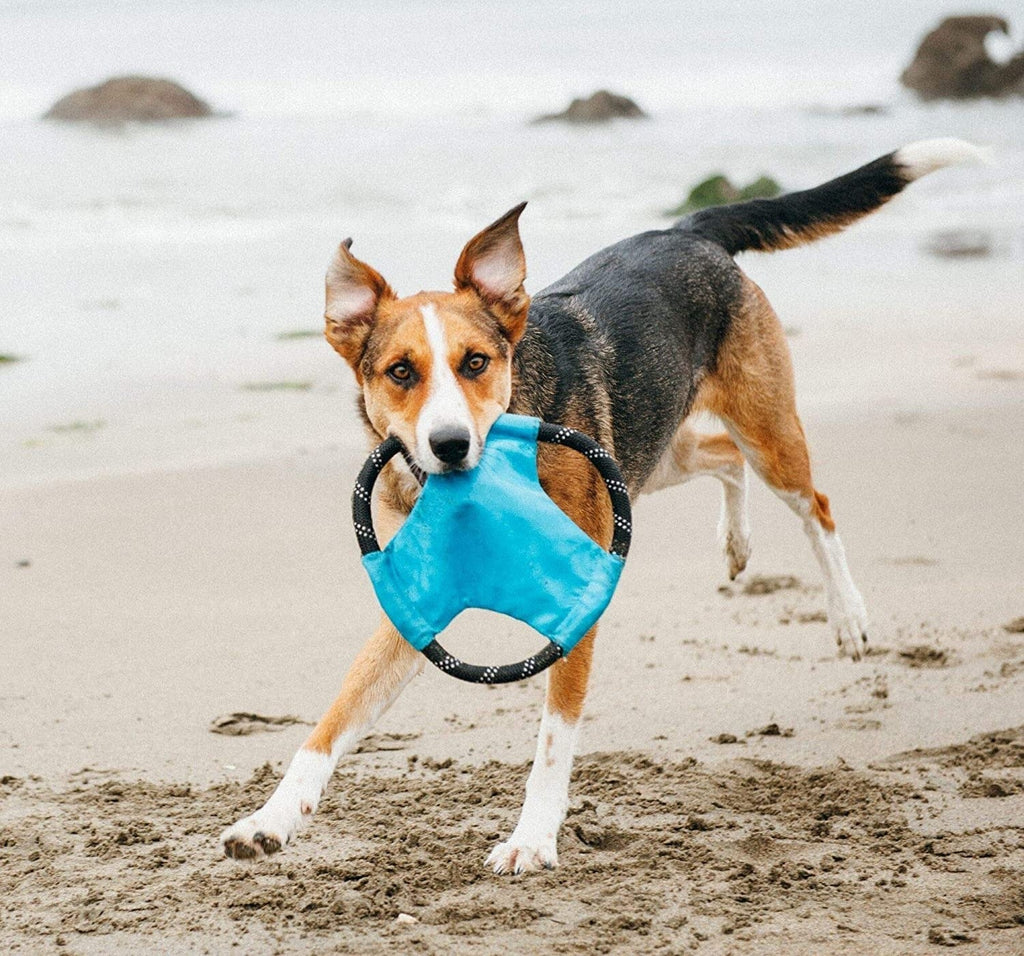 Best-dog-toys
