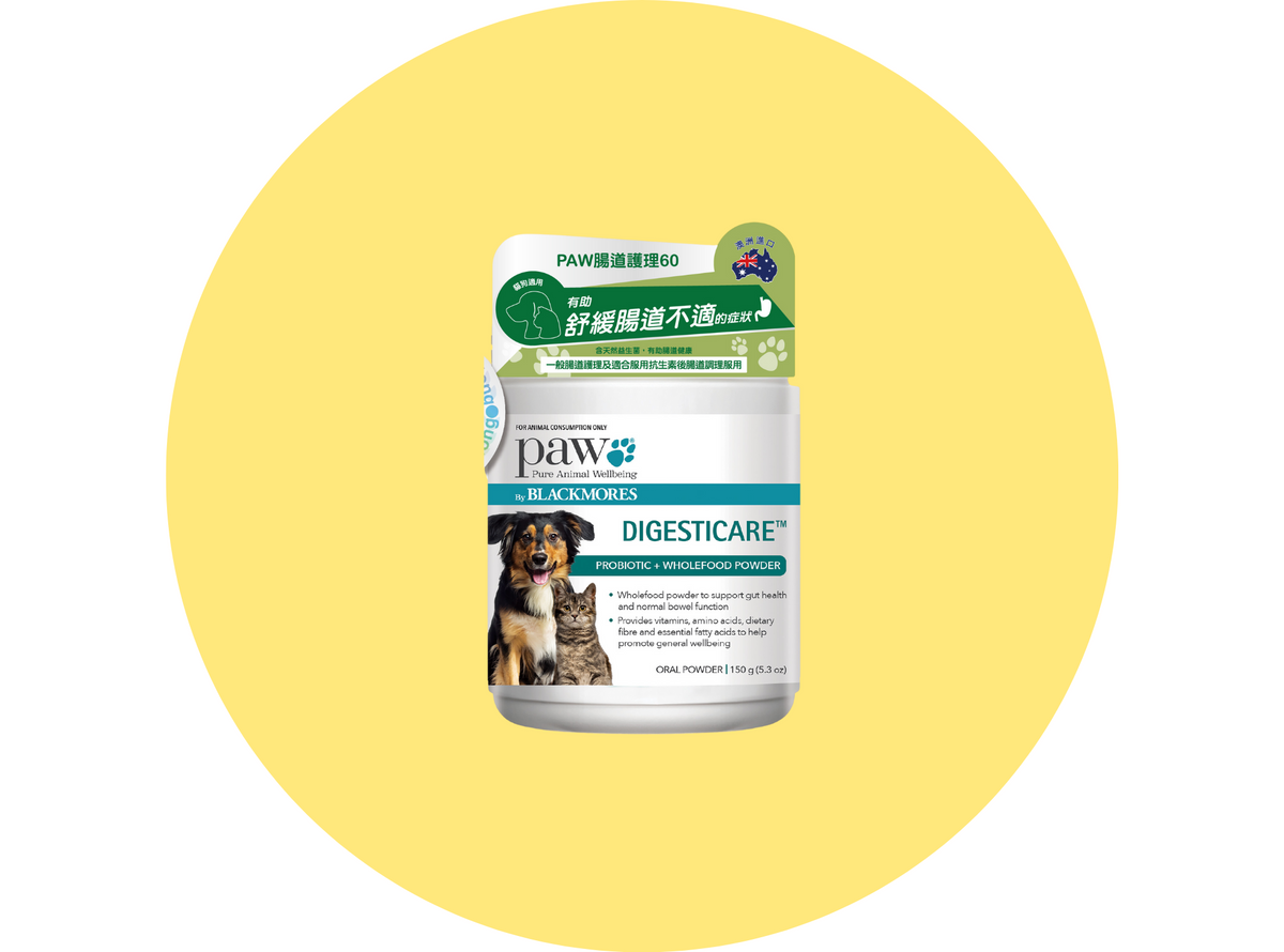 Cat Supplement Cat Health Pet Care Pet Shop Hong Kong Pet Store