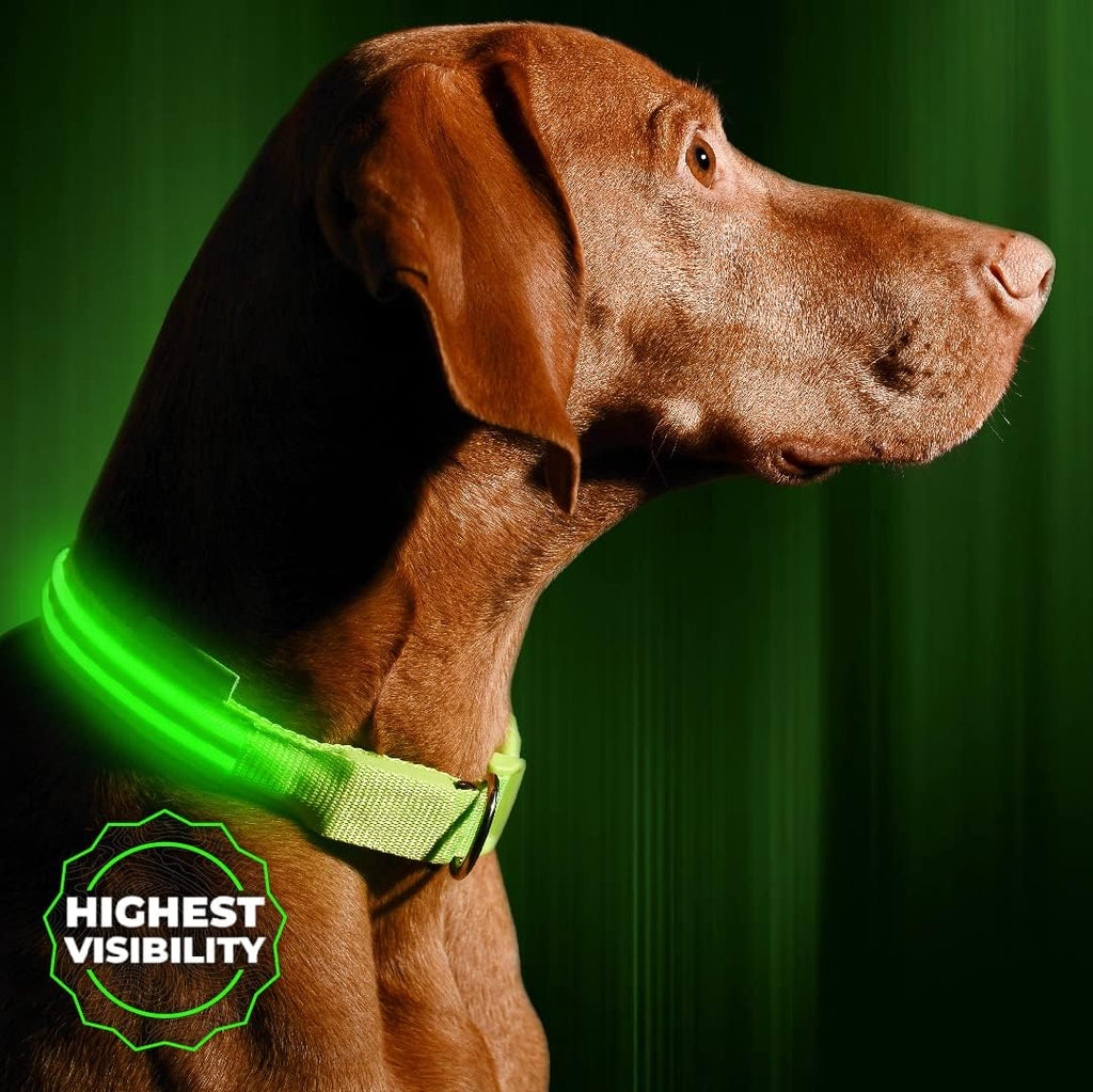illumiseen-led-light-up-dog-collar-neon-green-large