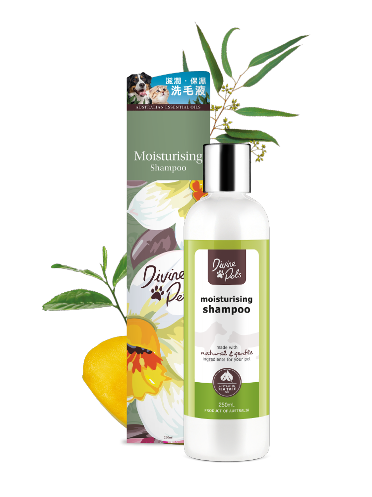 divine-pets-moisturising-shampoo-500ml-Pet-Supplies