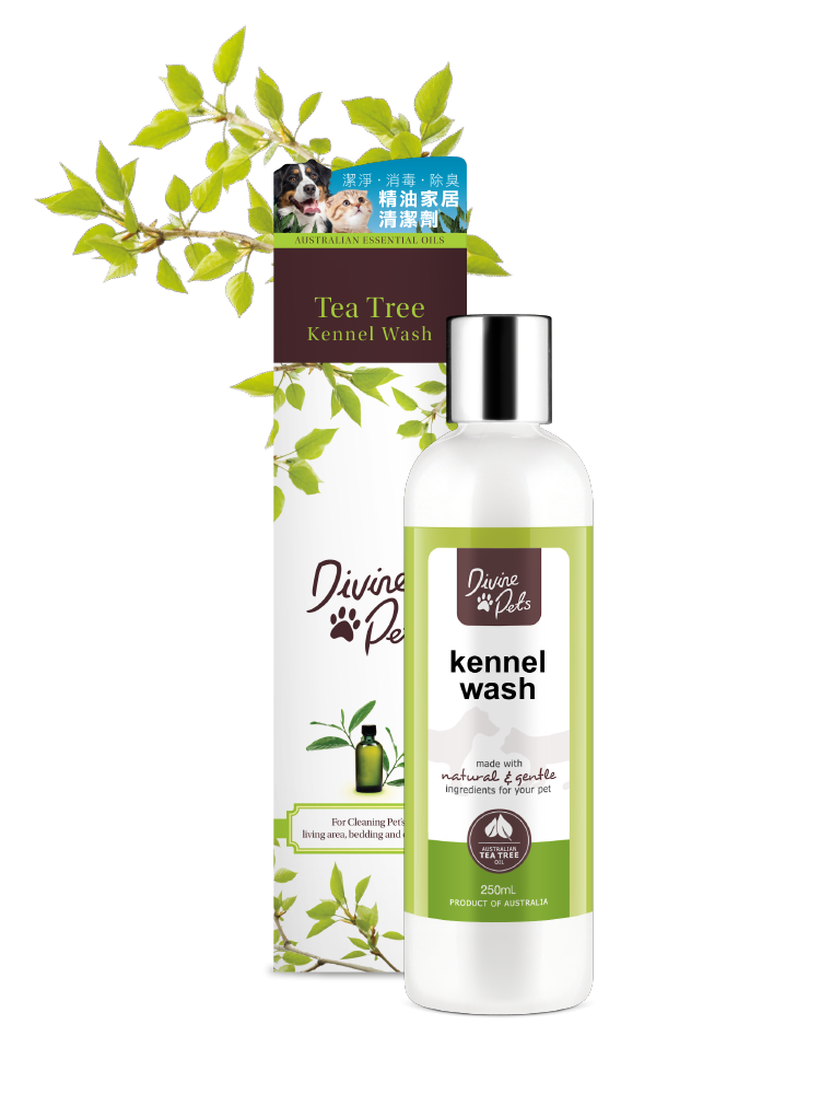 divine-pets-tea-tree-kennel-wash-250ml-Pet-Supplies