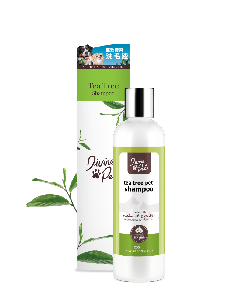divine-pets-tea-tree-shampoo-250ml-Pet-Supplies