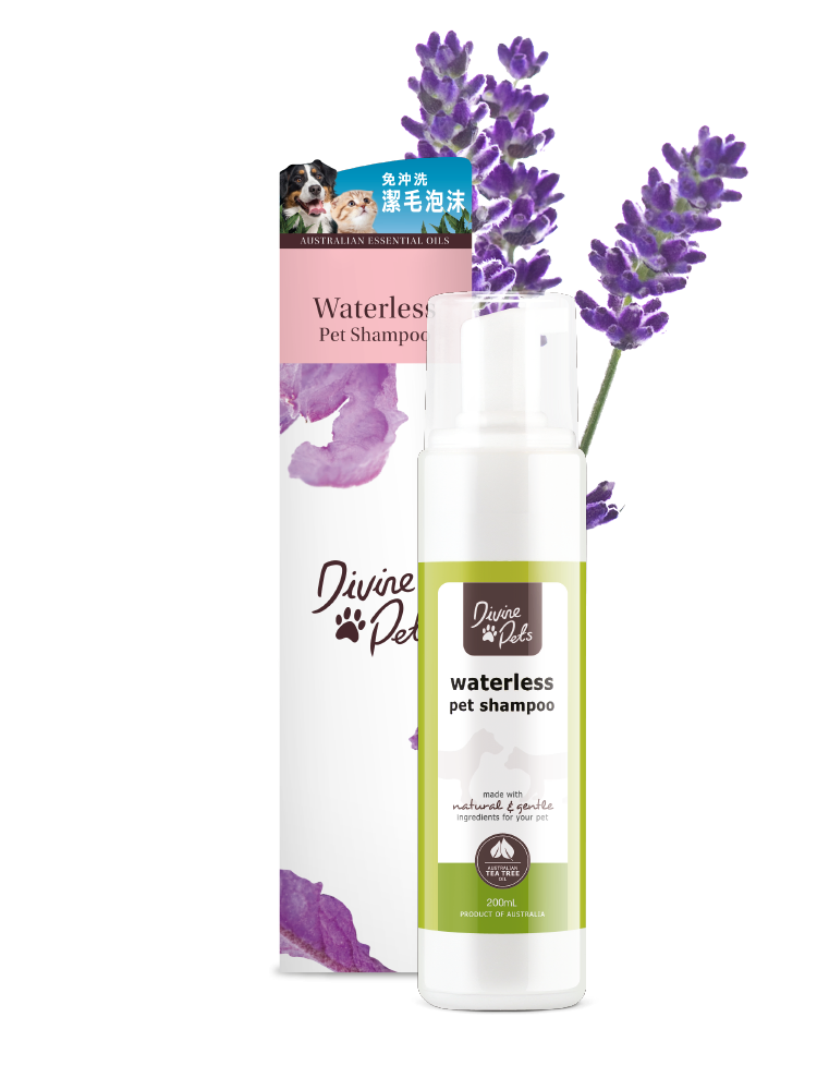 divine-pets-waterless-shampoo-200ml-Pet-Supplies