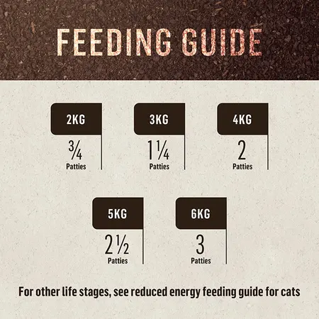 dr_b_barf_frozen_cat_food_kangaroo