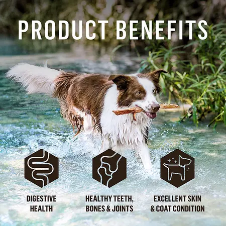 dr_b_barf_frozen_dog_food_combo