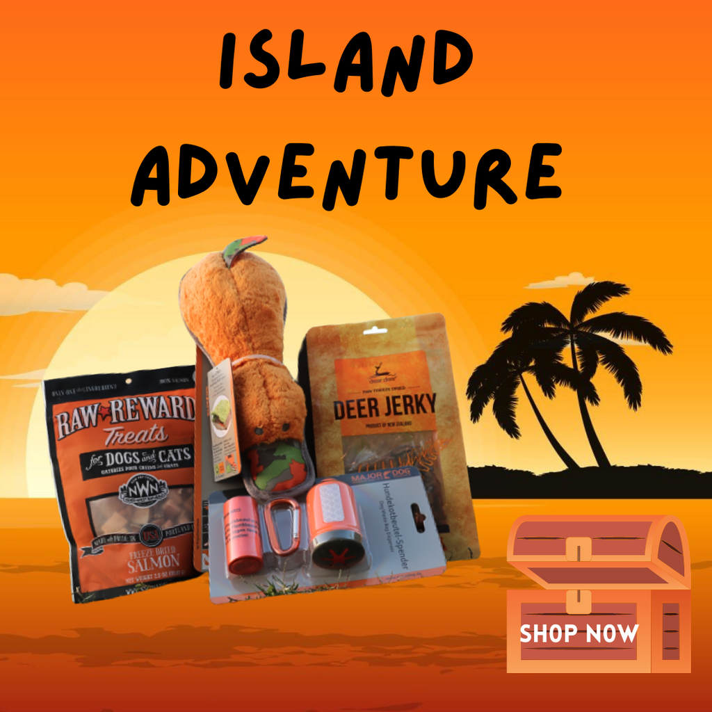 island-adventure-Dog-Deals