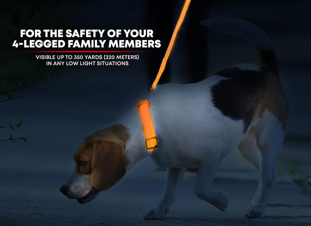 illumiseen-led-light-up-dog-collar-bright-orange-x-small