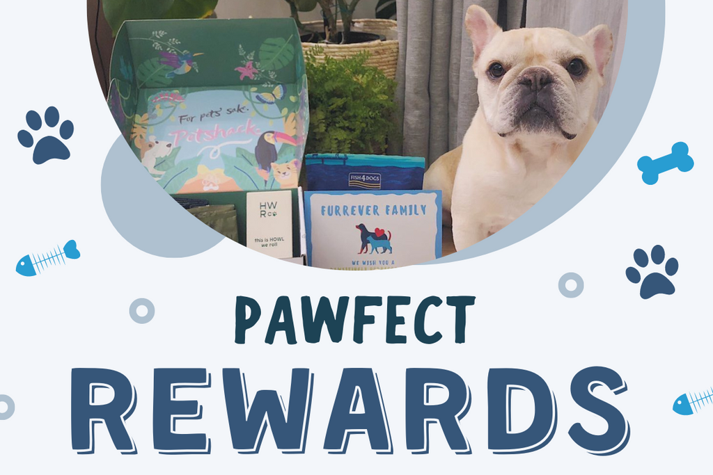 Pet Rewards