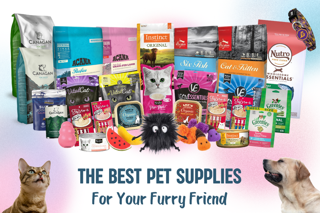 Best-Pet-Supplies-Hong-Kong