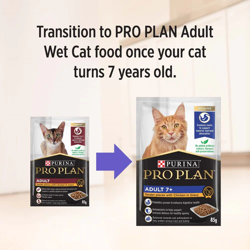 purina-pro-plan-adult-cat-wet-food-chicken-in-gravy-85g