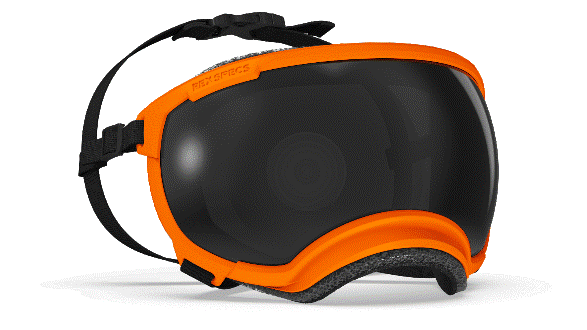 rex-specs-dog-goggles-v2-ozark-orange-medium