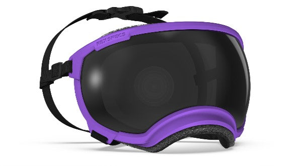 rex-specs-dog-goggles-v2-pike-purple-medium