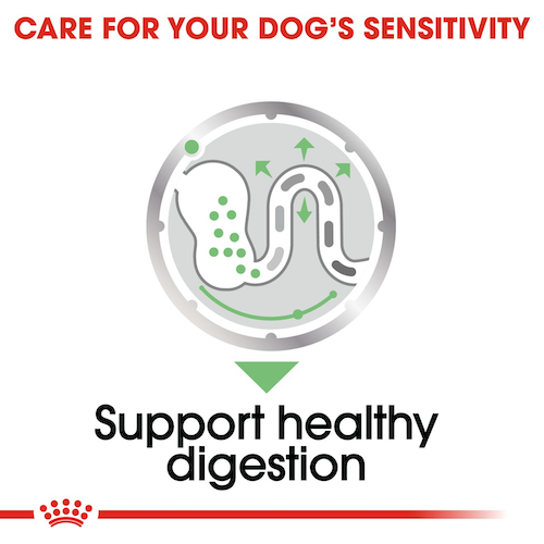 Royal-Canin-Dog-Wet-Food-Royal-Canin-Dog-Wet-Food-Digestive-Care-Adult-Dog-Loaf-85G