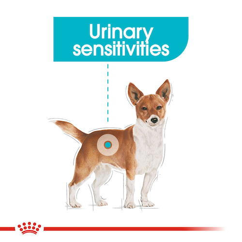 Royal-Canin-Dog-Wet-Food-Urinary-Care-Adult-Dog-Loaf-85G
