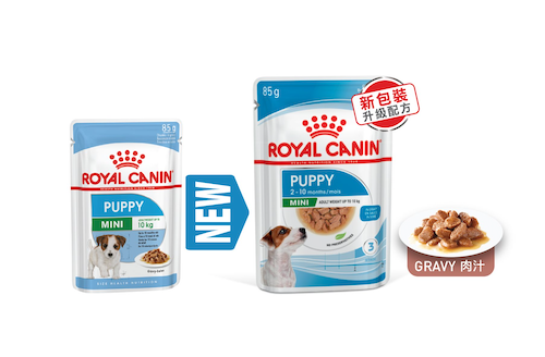 Royal-Canin-Puppy-Wet-Food-Mini-Puppy-Gravy-85G
