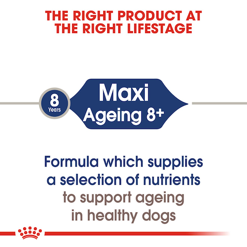 Royal-Canin-Senior-Dog-Wet-Food-Maxi-Ageing-8+-Dog-Gravy-140G