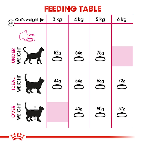 royal-canin-cat-food-feline-preference-aroma-exigent-adult-cat