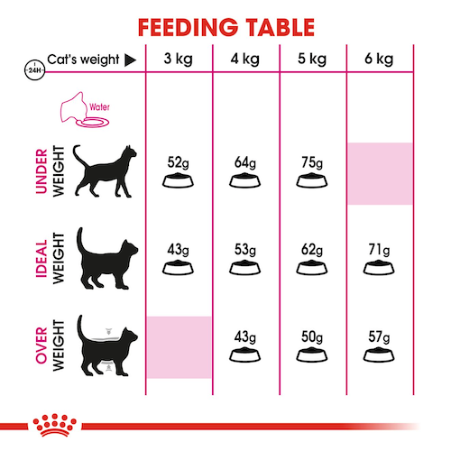 royal-canin-cat-food-feline-preference-protein-exigent-adult-cat