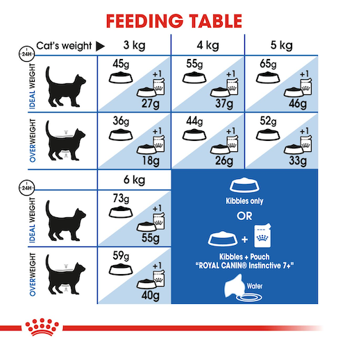 royal-canin-cat-food-home-life-indoor-7