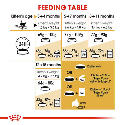 royal-canin-cat-food-maine-coon-kitten-10kg