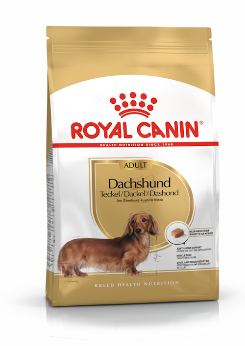royal-canin-dog-food-dachshund-adult