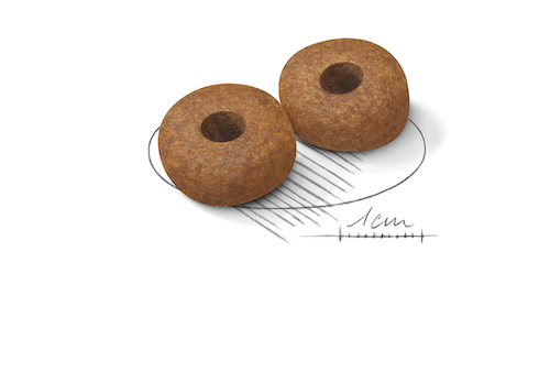 royal-canin-dog-food-medium-ageing-10-3kg