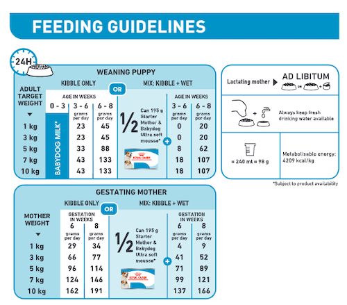 Royal Canin Dog Food Mini Starter Mother Babydog 3kg