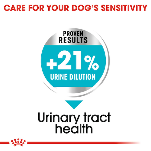 royal-canin-dog-food-mini-urinary-care-adult