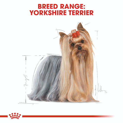 royal-canin-dog-food-yorkshire-terrier-adult