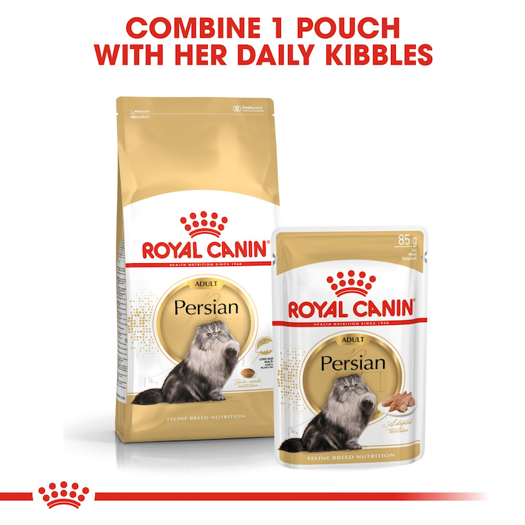 royal-canin-adult-cat-wet-food-persian-cat-loaf-85g