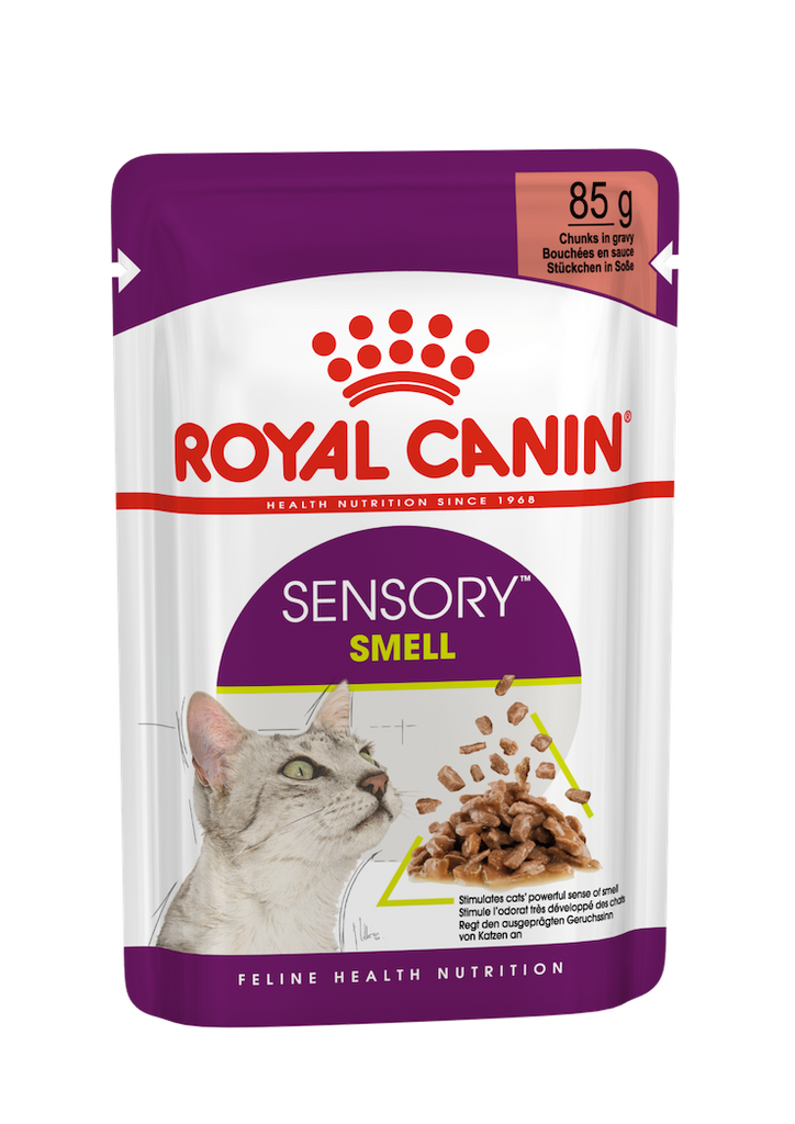 royal-canin-adult-cat-wet-food-sensory-smell-gravy-85g